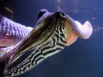 medium_seiche_09.2.jpg